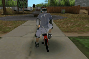 Dave Mirra Freestyle BMX 7